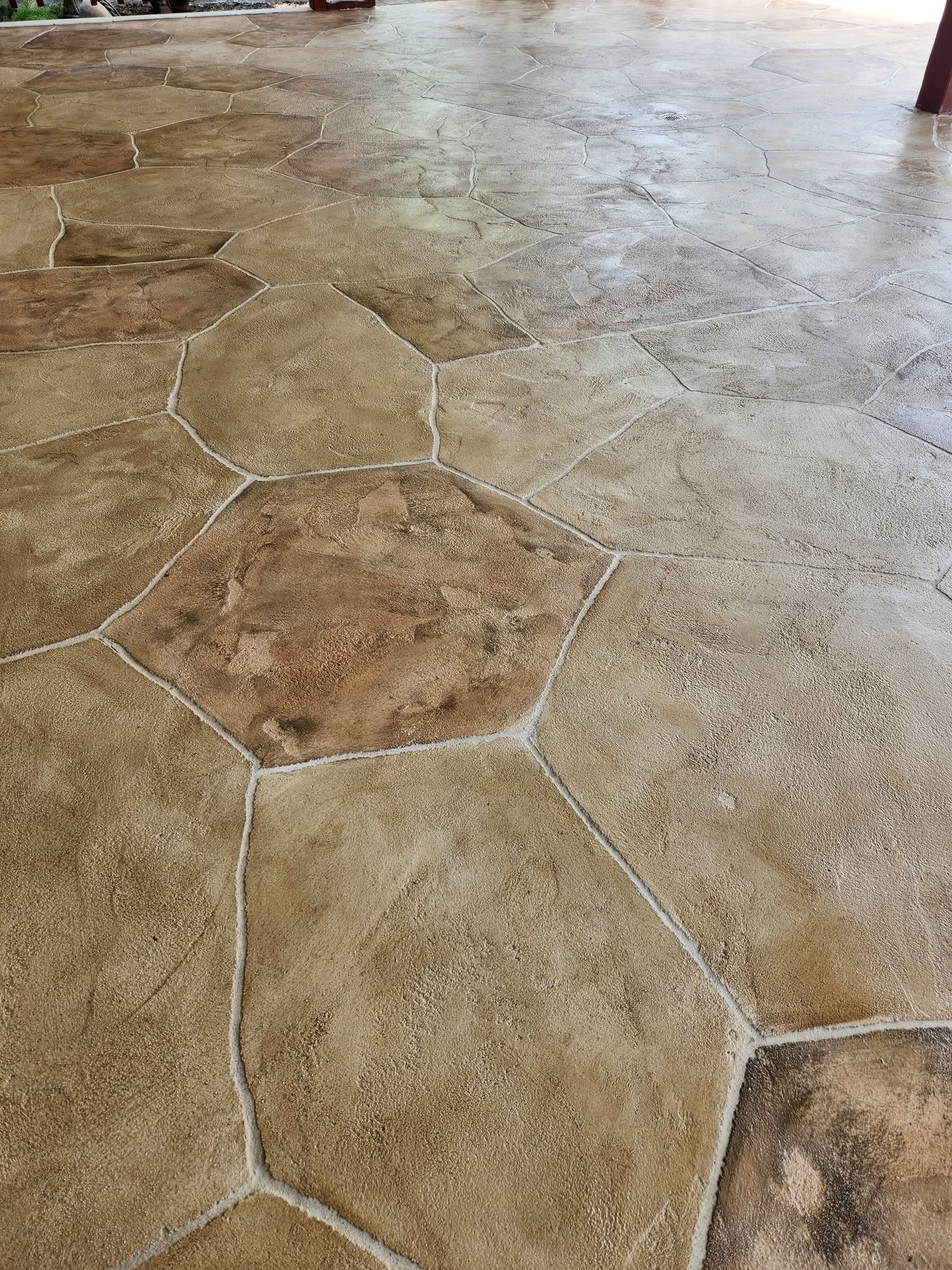 494108358_122211412784242816_165128740121024214_n